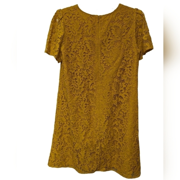 Loft Lace Shift Dress Sz 4 - Picture 2 of 11